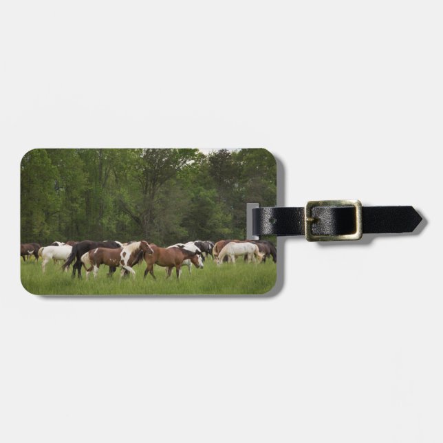 Etiqueta Para Maletas Manada de caballos, Tennessee (Frente Horizontal)