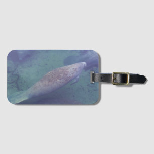 Etiqueta Para Maletas Manatee Florida Swimming Photo Cute