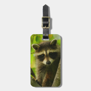 Etiqueta Para Maletas mapache