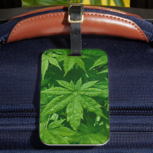 Etiqueta Para Maletas Maple en primavera