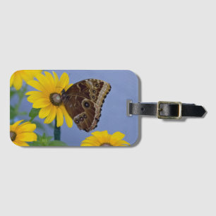 Etiqueta Para Maletas Mariposa Buckeye en Margarita Amarilla