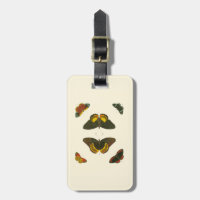 Mariposas brillantes por Pieter Cramer
