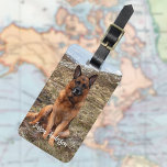 Etiqueta Para Maletas mascota de perro fotográfico personalizado<br><div class="desc">Añade una de tus fotos favoritas. Personalice y agregue su nombre e información de contacto. Atrás: fondo negro,  texto blanco.</div>