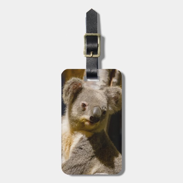 Etiqueta Para Maletas Mase Koala Personaliza (Frente Vertical)