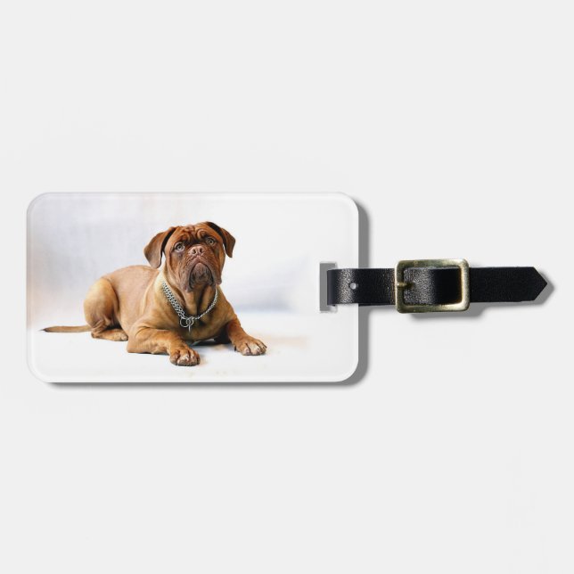 Etiqueta Para Maletas Mastiff personalizado / foto de perro (Frente Horizontal)