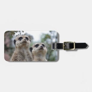 Etiqueta Para Maletas Meerkat - Dreamtem