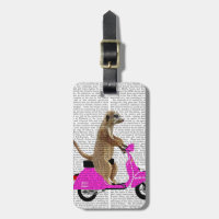 Meerkat sobre el ciclomotor rosado
