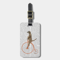 Meerkat sobre la Naranja Penny Farthing