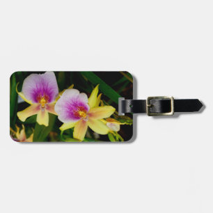 Etiqueta Para Maletas Miltonia Sunset