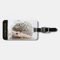 Monograma de fotografía de hedgehg para bebés