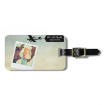 Moreno del ganso del correo aéreo de los E.E.U.U.