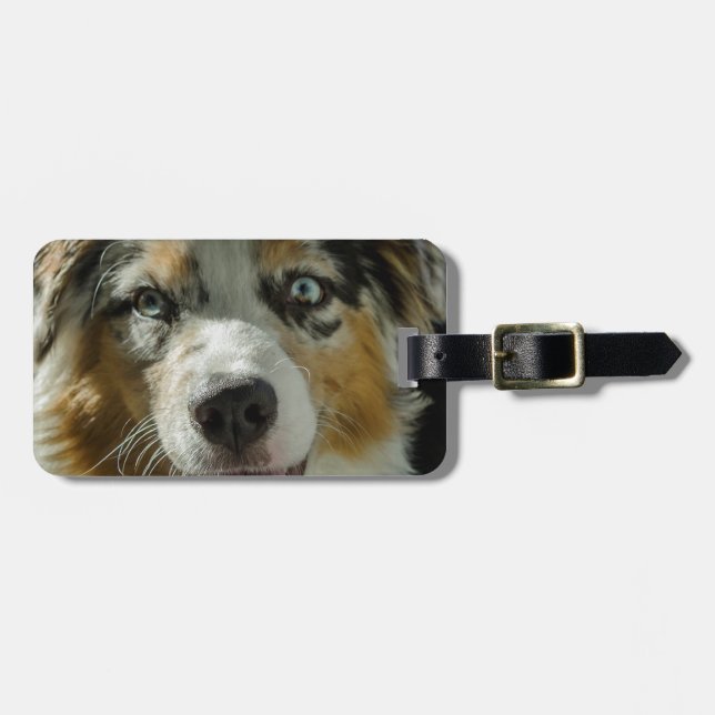 Etiqueta Para Maletas Muchacho del comodín (Frente Horizontal)