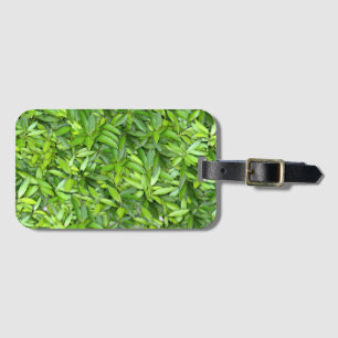 Etiqueta Para Maletas Muchas hojas verdes hermosas