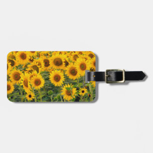 Etiqueta Para Maletas Na, EE. UU., Colorado, Girasoles