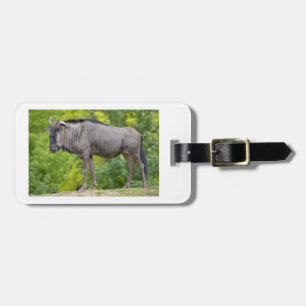 Etiqueta Para Maletas ñame azul