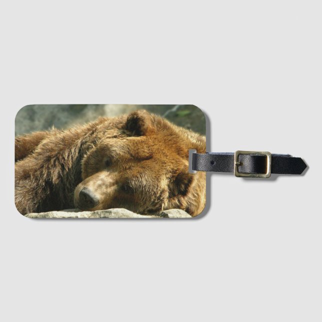 Etiqueta Para Maletas Nap Time Bear (Anverso horizontal)