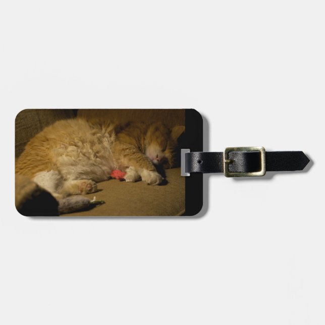 Etiqueta Para Maletas Napa de gato (Frente Horizontal)