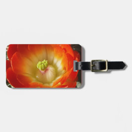 Etiqueta Para Maletas Naranja-Cactus-flor