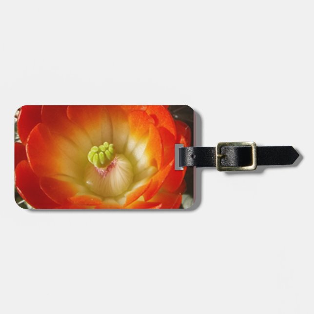 Etiqueta Para Maletas Naranja-Cactus-flor (Frente Horizontal)