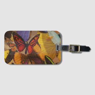 Etiqueta Para Maletas naranja púrpura primavera abstracto burgundy marip