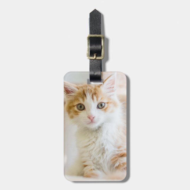 Etiqueta Para Maletas Naranja y gatito blanco (Frente Vertical)