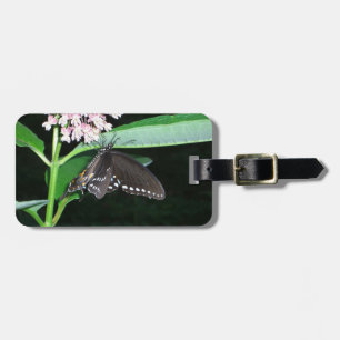 Etiqueta Para Maletas Noche mariposa cola negra en Shenandoah