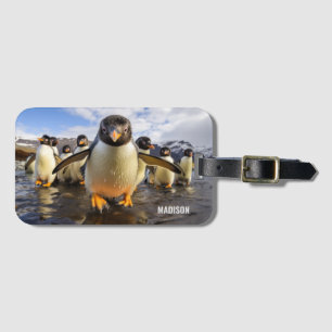 Etiqueta Para Maletas Nombre personalizado de los pingüinos de Guay