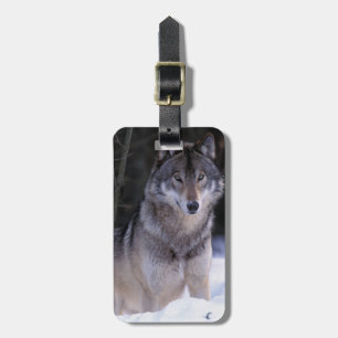 Etiqueta Para Maletas Norteamérica, Canadá, Canadá Oriental, Lobo gris