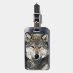 Etiqueta Para Maletas Norteamérica, EE. UU., Minnesota. Lobo Canis