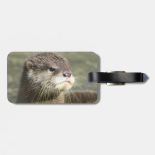 Etiqueta Para Maletas Nutria linda del bebé