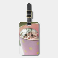 Ocultación de gatitos