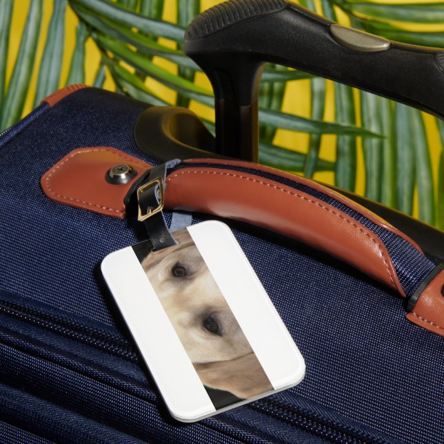 Etiqueta Para Maletas ojos amarillos de laboratorio (Anverso In situ 1)