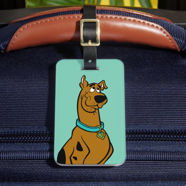 Etiqueta Para Maletas Ojos de cachorro Scooby-Doo (Anverso In situ 2)