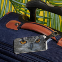 Ojos Naranjas de Lechuza Águila Eurasiática