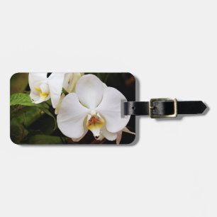 Etiqueta Para Maletas Orquídea Blanca de la Luna (Afrodita de Falenopsis