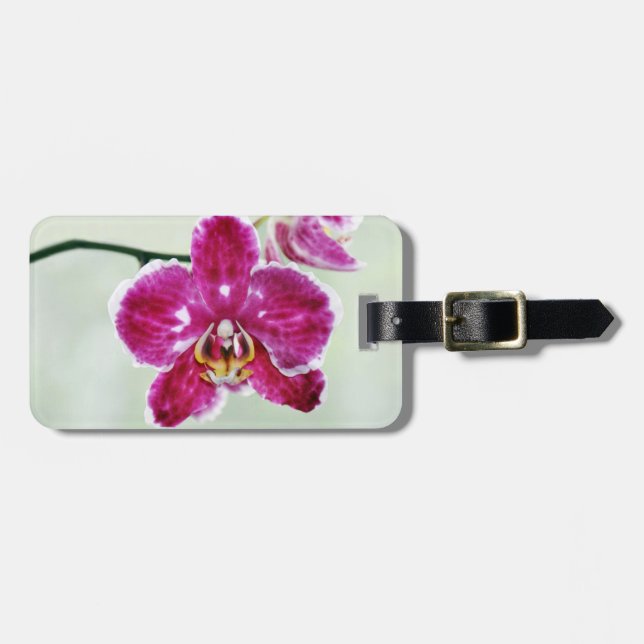 Etiqueta Para Maletas Orquídea rosa (Frente Horizontal)