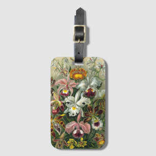 Etiqueta Para Maletas Orquídeas de Ernst Haeckel, Flores Vintage de la S