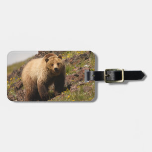 Etiqueta Para Maletas oso