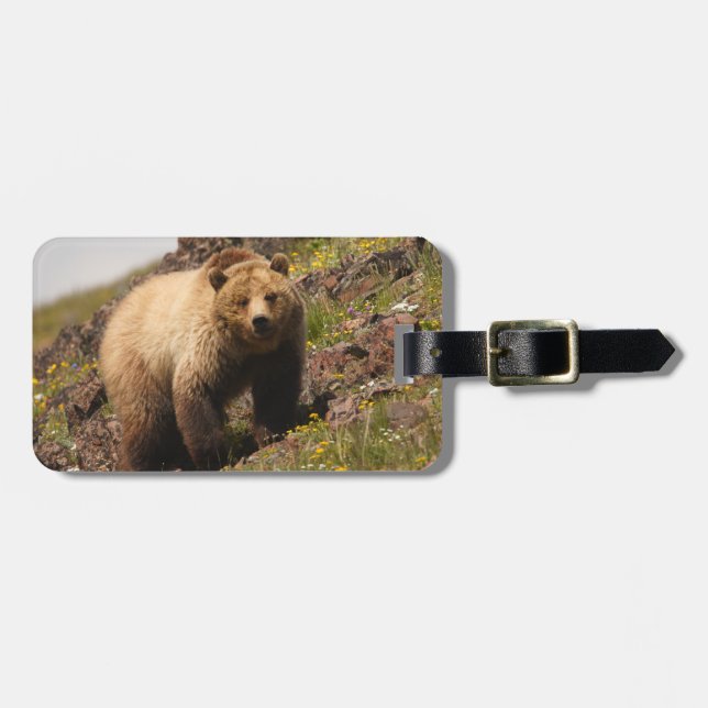 Etiqueta Para Maletas oso (Frente Horizontal)