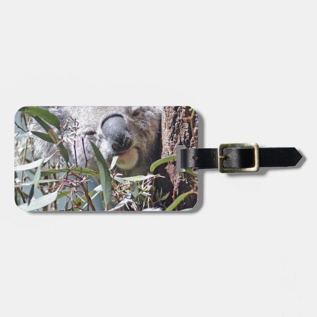 Etiqueta Para Maletas Oso de koala (Frente Horizontal)