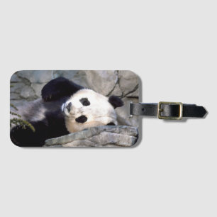 Etiqueta Para Maletas Oso de panda