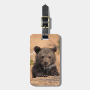 Etiqueta Para Maletas Oso grizzly Cub
