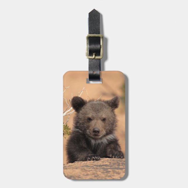 Etiqueta Para Maletas Oso grizzly Cub (Frente Vertical)
