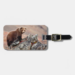 Etiqueta Para Maletas Oso marrón denali