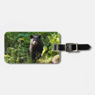 Etiqueta Para Maletas Oso negro curioso