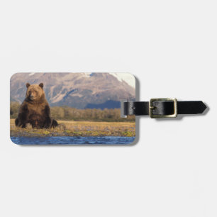 Etiqueta Para Maletas oso pardo, Ursus arctos, oso grizzly, Ursus