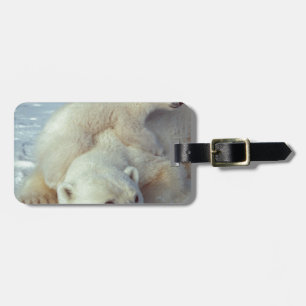 Etiqueta Para Maletas Oso polar