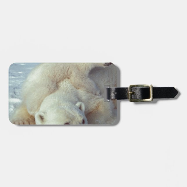 Etiqueta Para Maletas Oso polar (Frente Horizontal)