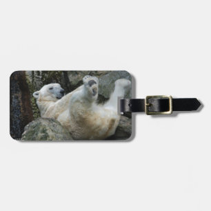 Etiqueta Para Maletas Oso polar