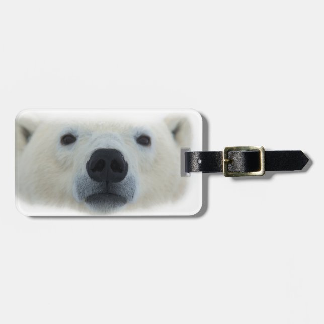 Etiqueta Para Maletas Oso polar (Frente Horizontal)